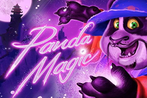 20554 panda magic